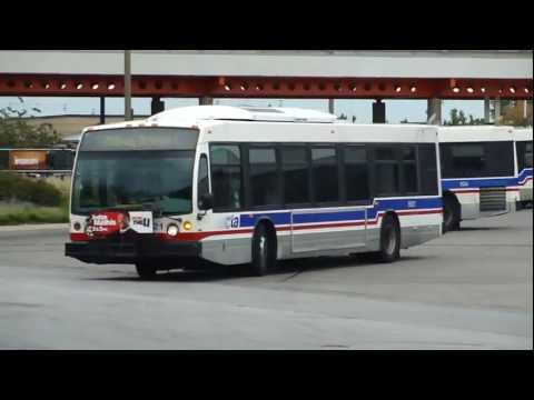 cta novabus